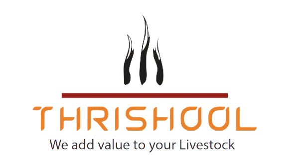 Thrishool Exim Ltd