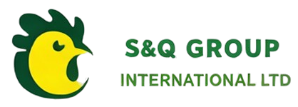 S&Q INTERNATIONAL GROUP LTD